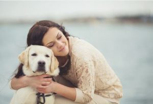 Dogs and Human Emotions 