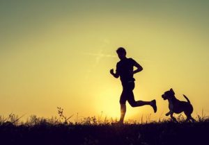 Dogs and Exercise