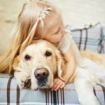 child laying on couch with senior dog