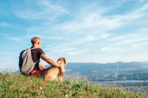 Hiking with your dog for exercise staying active