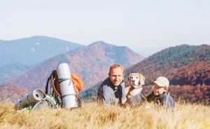 Camping and hiking with your dog