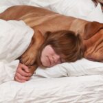 Allowing dog to share bed