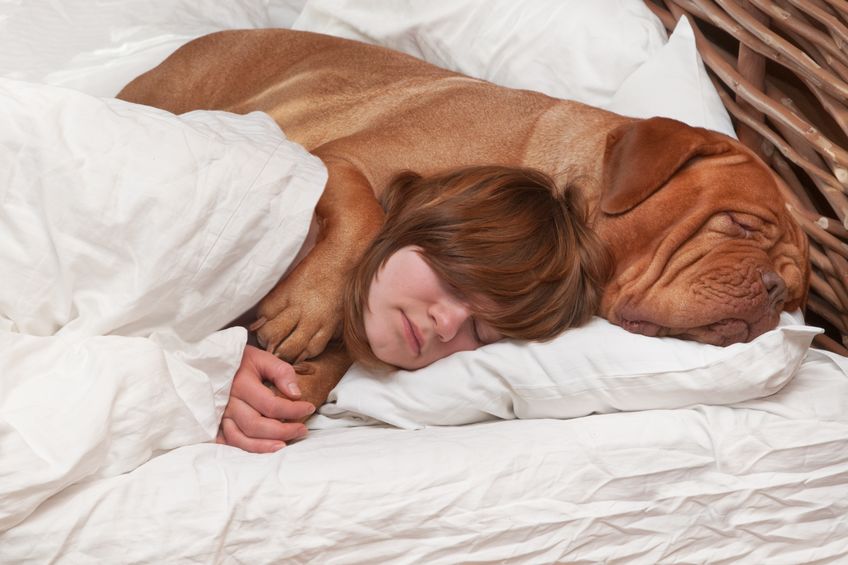 Allowing dog to share bed