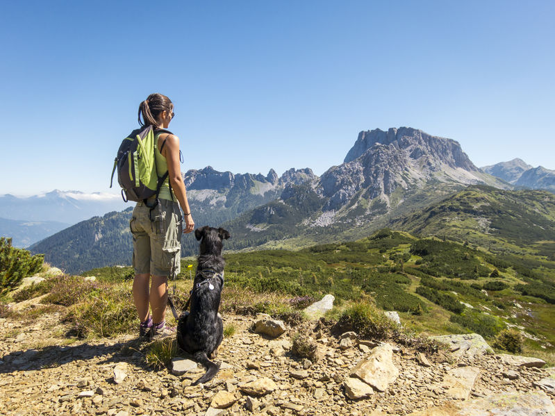 young beautiful woman enjoying the view with her dog during hiki