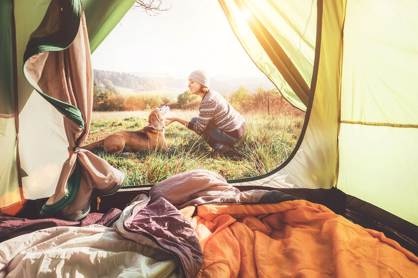 Camping with your dog this Spring